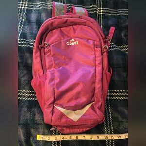 Light Small Hiking Backpack in Purple